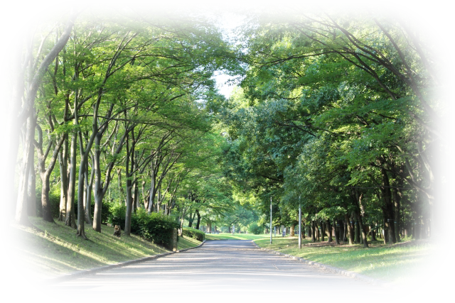 大泉緑地の写真